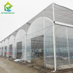 Customized Agricultural Plastic Film Multi-span Polyhouse Greenhouse