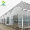 Buy cheap Customized Agricultural Plastic Film Multi-span Polyhouse Greenhouse from wholesalers