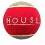 Inflatable rubbber tennis ball for dog training