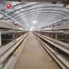 Buy cheap 10000 Birds Poultry Farm Automatic H Type Battery Chicken Egg Laying Hen Layer Cage from wholesalers