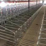 OEM ODM Piggery Farm Equipment Gestation Pens For Sows Rear Door Design