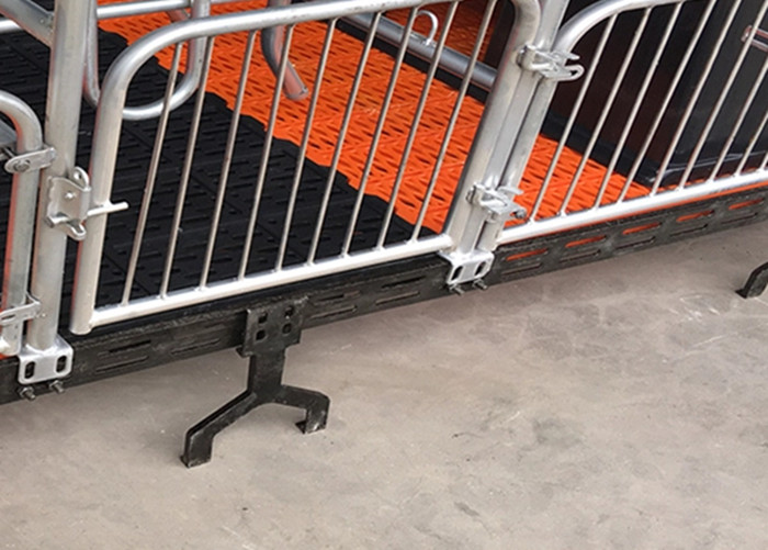 PVC Panel Fence Pig Farrowing Crate / Pig Farrowing Pen Over All Hot Dip Galvanization