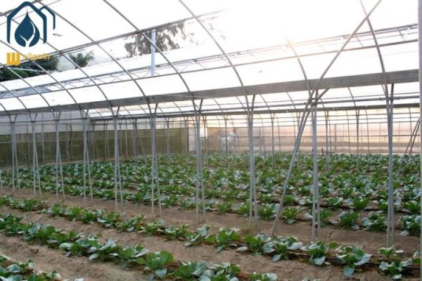 Buy cheap Agriculture Multi Span Poly Tunnel Greenhouse Environment Friendly For Vegetables from wholesalers
