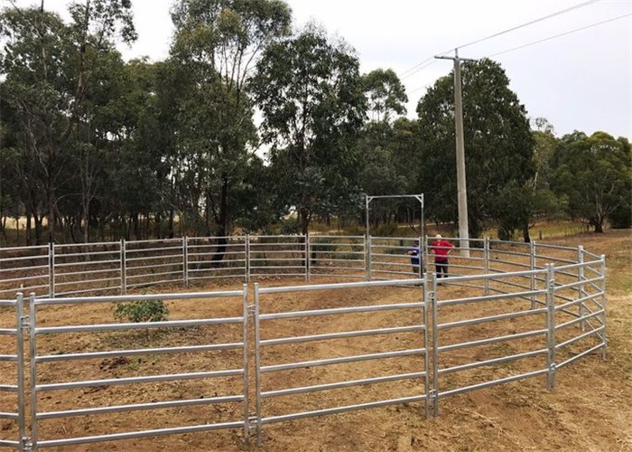 Livestock Farm Gates 1.8mx2.1m width