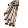 Buy cheap JIS SUS316 Matte Stainless Steel Tubing ASMT S30400 S31600 150mm Corrosion Resistant Polished from wholesalers
