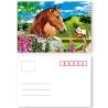Buy cheap Custom 3d Lenticular Postcards Printing Basketball Players Image from wholesalers