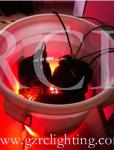 54x3W RGB LED Par Cans Show Lighting Ri-Color Outdoor Stage Lighting IP65 LED