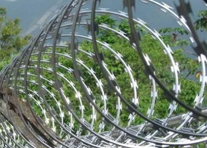 Hot Dip Galvanized Cbt 65 Razor Wire PVC Coated 900mm For Boundary Fencing
