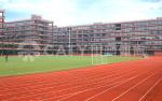 Stadium Synthetic Rubber Track Waterproof , Durable Track And Field Rubber