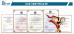 Hebei Guixiang International Trade Co., Ltd. Certifications