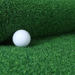 Soundproof Green Turf Carpet Anti Skid , Wear Resistant Fake Lawn Grass