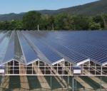 Building Materials Steel Structure Multi-Span Arch Type Photovoltaic Greenhouses