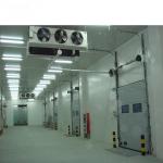 220V/380V/400V/440V Customized 50m*50m Cold Storage with Rack Refrigeration