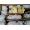 Buy cheap Crisp Chinese White Pear from wholesalers