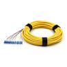 Buy cheap LC/UPC 12 Cores LSZH Bundle Fan Out Single Mode Fiber Pigtail 9/125um Yellow Jacket from wholesalers