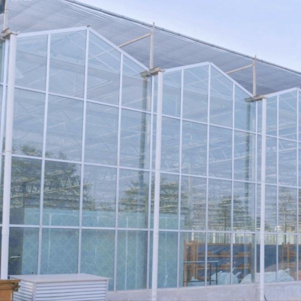 Buy cheap Hydroponics Cultivation Method Agriculture Glass Greenhouse for Tomato/Fruit Tempered from wholesalers