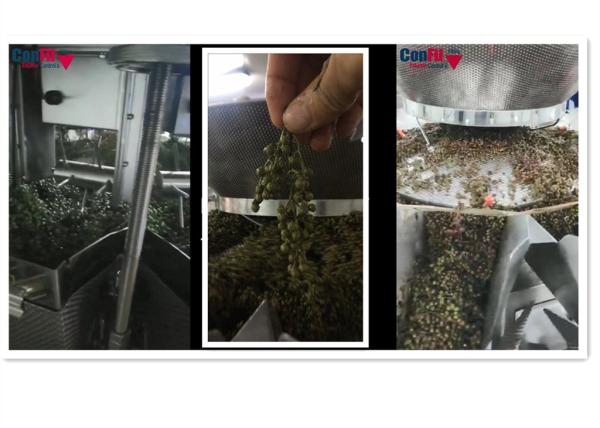 Buy cheap 2000 Gram Rotary Vacuum Packaging Machine for Fresh Product from wholesalers