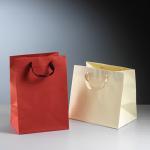fancy luxury printed recycled shopping carry bag,paper bag printing,carrier bag