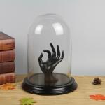 Preserved Rose Display Glass Homeware Cloche Cover with Black Wooden Base