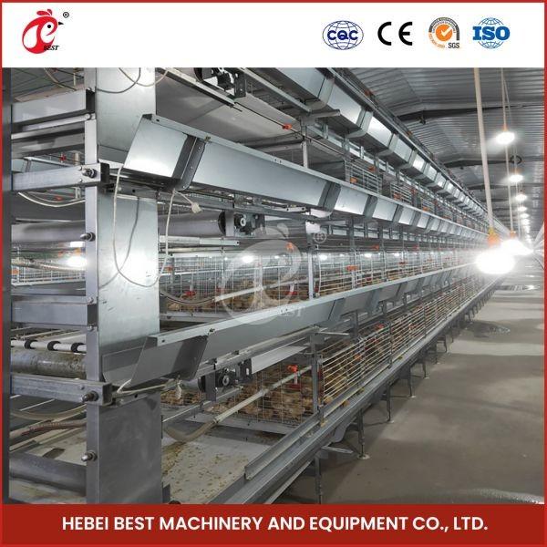 High Density Poultry Farming Broiler Chicken Cage 112 Birds For Day Old Farm
