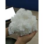 Hollow Conjugated PSF Polyester Staple Fiber Non Siliconized Fibre For Filling /