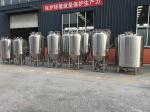 CE ISO 50L Professional Beer Brewing Equipment For Home Brew Unit Machine