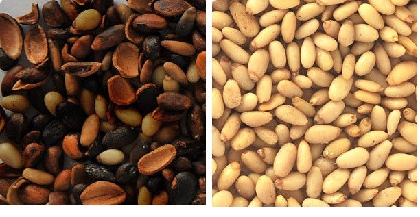 Easy Operation Screen 448 Channels Peanut Color Sorting Machine