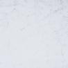 Buy cheap Modern Artificial Quartz Stone Minimalist Style Diverse Colors Carrara White from wholesalers