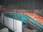 Buy cheap 2 Ton Per Day Apple Juice Processing Plant Beverage Processing Line from wholesalers