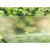 Buy cheap Solid Structure Low Iron Solar Glass 3.2MM / 4MM Thickness Light Transmittance 91.7% from wholesalers