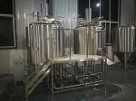 Mini Craft Brewing Equipment With Hot Water Tank , Fermentation Equipment