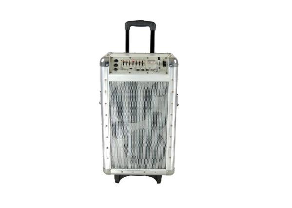 Buy cheap 10'' Portable Trolley Speaker Subwoofer Audio DJ Trolley Speaker Box For Disco Dancing from wholesalers