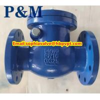 Buy cheap DN100 PN16 GG25 cast iron swing check valve product
