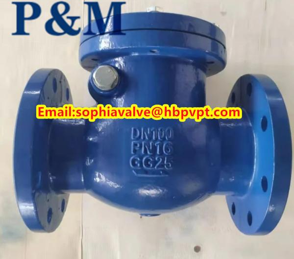 Buy cheap DN100 PN16 GG25 cast iron swing check valve from wholesalers