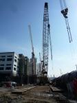 2005 Original Japan Used KOBELCO 250 Ton Crawler Crane For Sale China