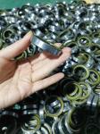 High Quality Vmq FPM NBR Rubber Oil Seal (TC/SC/SB/SA/TB/VC/TCN)