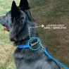 Buy cheap Silicone Half Chain Pet Dog Collar For No Pull Dog Walking And Pet Training from wholesalers