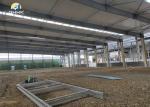 Industrial Agricultural Steel Buildings Prefabricated Light Steel Frame