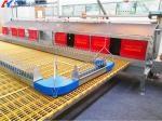 Broiler Breeder Raising Growing Equipment System Plant Line Layer Floor Farming