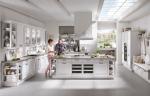 Blum HPDL Solid Wood Kitchen Cabinets Contemporary European Style For Farmhouse