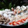 Buy cheap 420g Filling Capacity Daily LZ-220 Air Cooling Granular Ice Machine for Food Storage from wholesalers