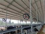 Dairy Farm 480W Ventilation Cooling Fan 920mm Industrial Ventilation Exhaust Fan
