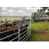 Buy cheap Steel 10ft Tall Horse Round Yard Panels With Powder Coated from wholesalers