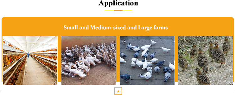 Galvanized Carbon Steel Frame Halal Poultry Slaughterhouse Equipment for Broiler Farm