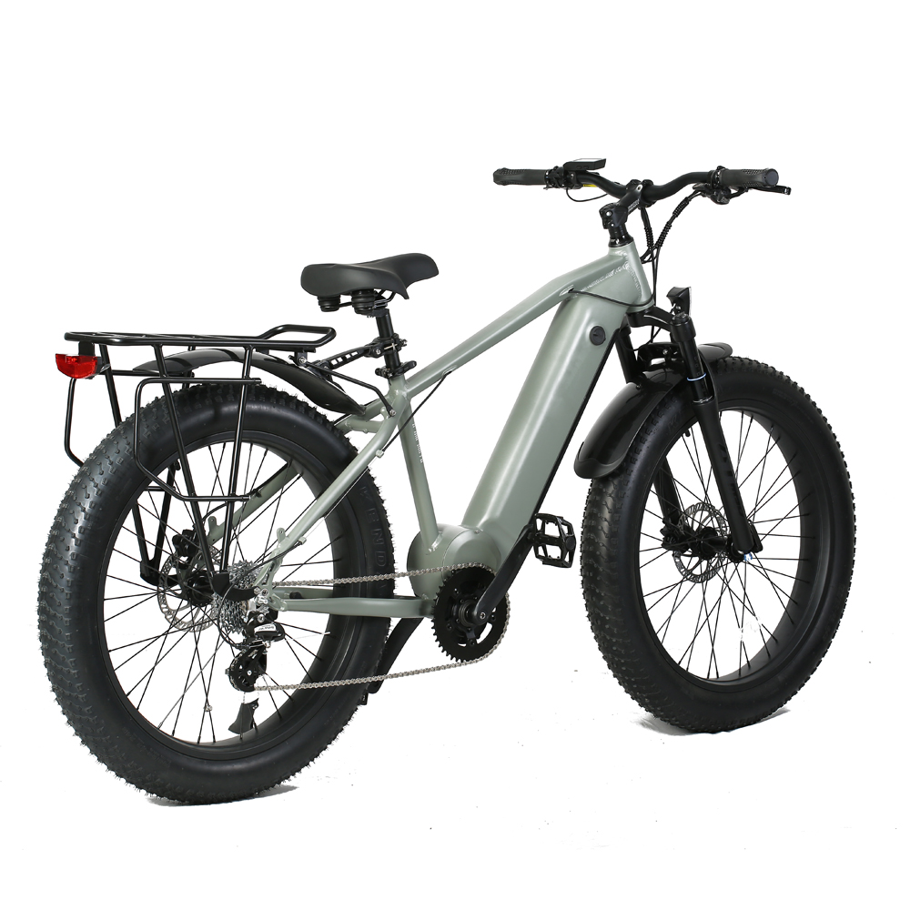 48V 15Ah Fat Tire Electric Bike 26 Inch Tektro HD-E350 Disc Brake Shimano 8 Speed Ebike