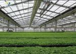 Modern Agricultural Steel Buildings Customized Steel Structure Greenhouse