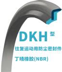 DKH Wiper Seal