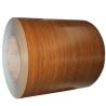 Buy cheap 100mm To 12000mm Galvanized Steel Sheet And Coils from wholesalers