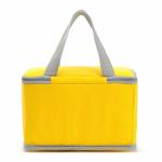 Pantone Insulated Cooler Bags Reusable With Aluminum Film