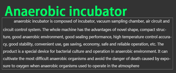 KENTON Anaerobic Incubator 1400W Anaerobic Workstation For Lab